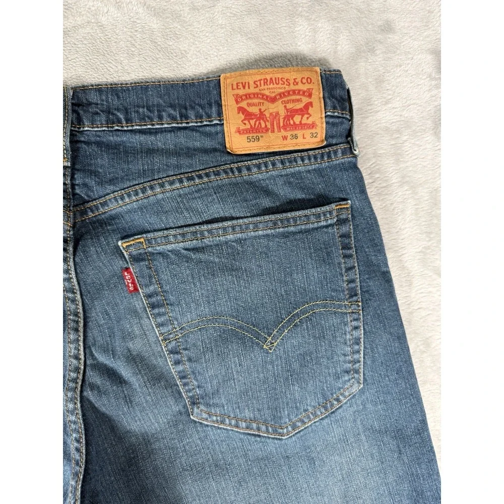 Levis levis 559